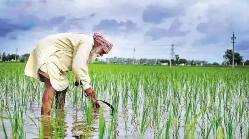 PM Kisan Khad Beej Yojana 